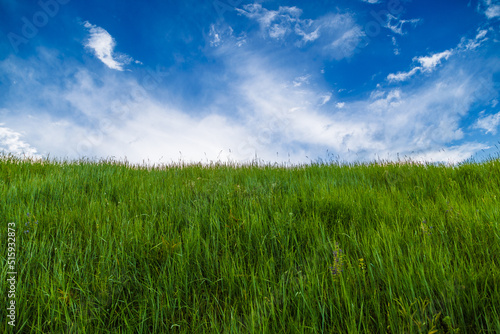 generic green grass meadow at summer day with blue sky with white clouds, minimalistic composition photo