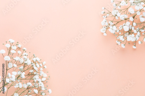 Beautiful flower background of pink gypsophila flowers. Flat lay, top view. Floral pattern.