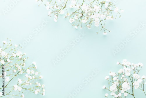 Beautiful flower background of pink gypsophila flowers. Flat lay  top view. Floral pattern.