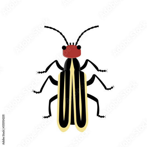 Colorful exotic bug icon in flat. Epicauta erythrocephala vector illustration.	