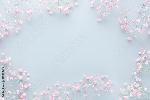 Beautiful flower background of pink gypsophila flowers. Flat lay, top view. Floral pattern.