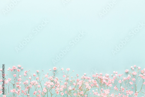 Beautiful flower background of pink gypsophila flowers. Flat lay, top view. Floral pattern.