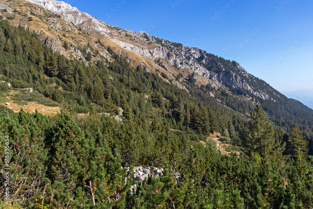Landscape near Banderitsa River at Pirin Mountain, Bulgaria Landscape near Banderitsa River at Pirin Mountain, Bulgaria