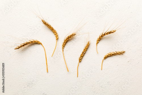 Sheaf of wheat ears close up and seeds on colored background. Natural cereal plant, harvest time concept. Top view, flat lay. world wheat crisis
