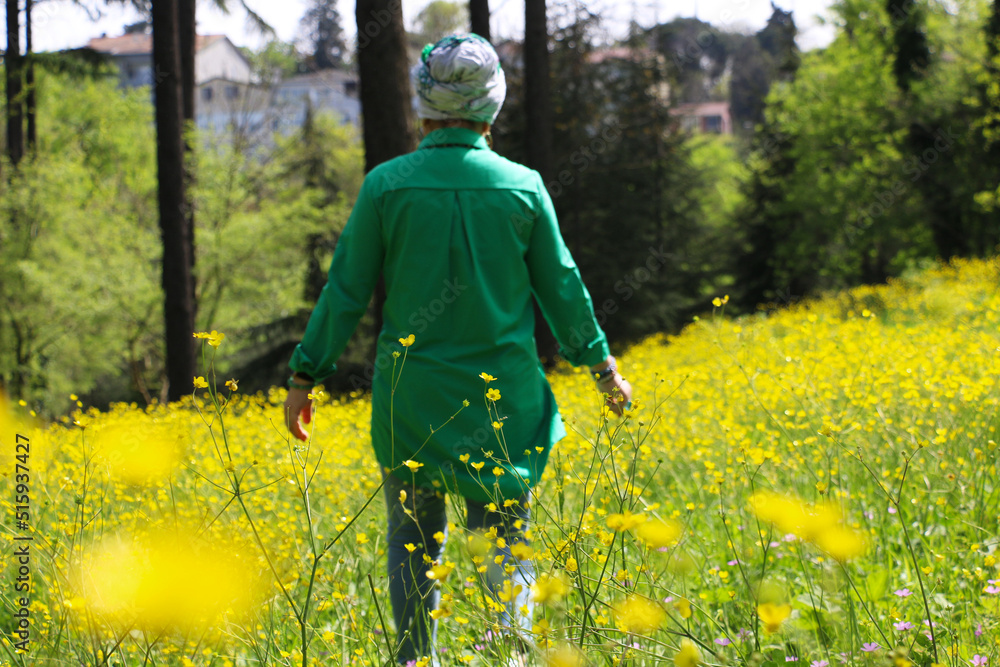 Yellow buttercup growing in forests and mountains in spring. The wonderful-looking buttercup is actually a type of poisonous flower. Arab woman in green dress walking in yellow flowers	
