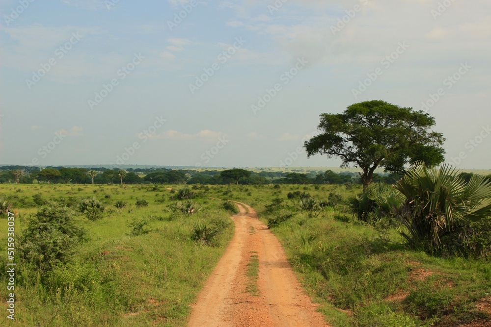 Obraz premium road in the field in uganda