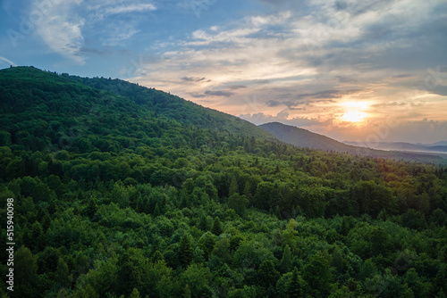 Aerial view of green pine forest with dark spruce trees covering mountain hills at sunset. Nothern woodland scenery from above © bilanol
