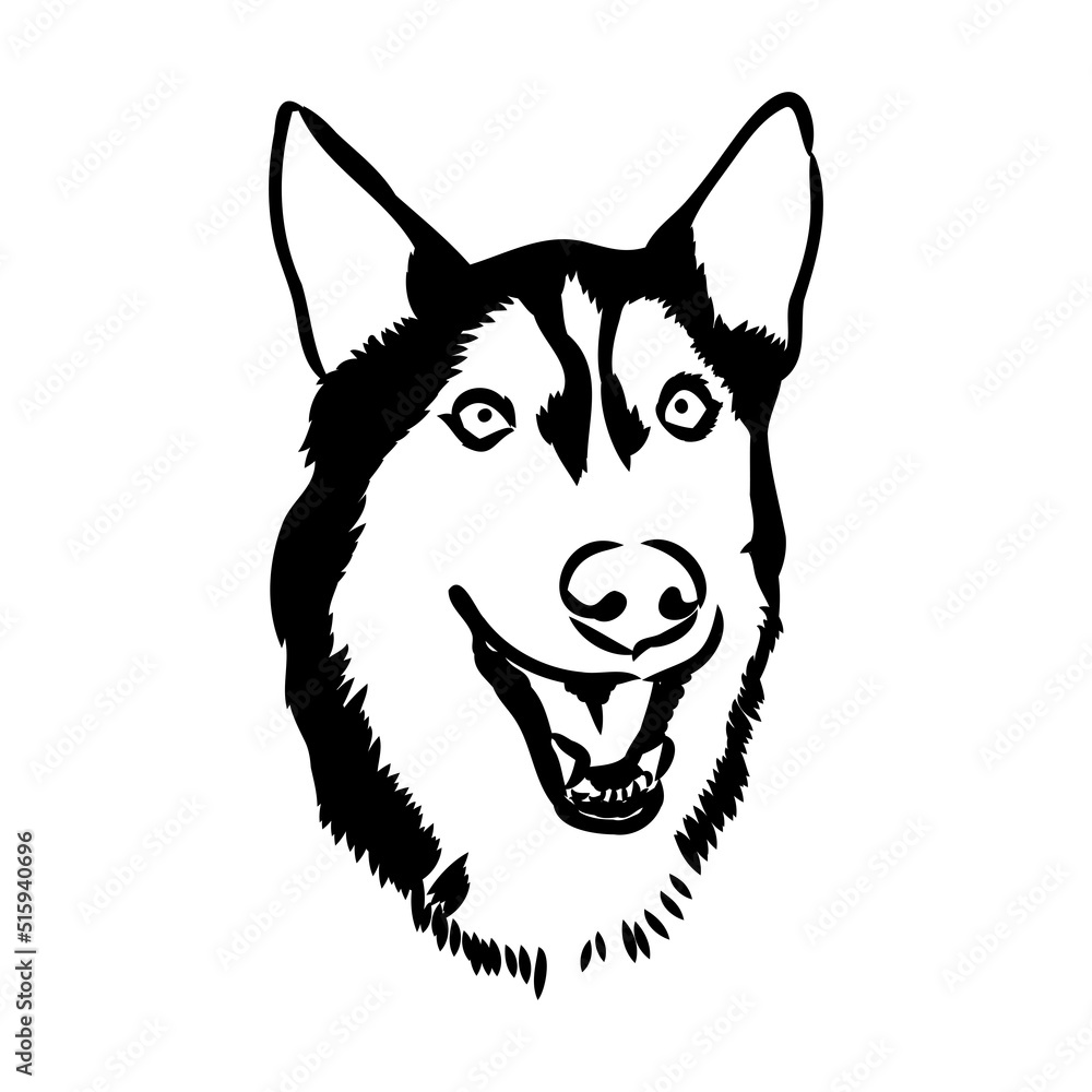 Fototapeta premium Husky isolated on white background. Stencil. Dog silhouette.