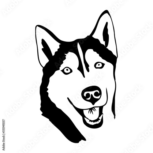 Husky isolated on white background. Stencil. Dog silhouette.