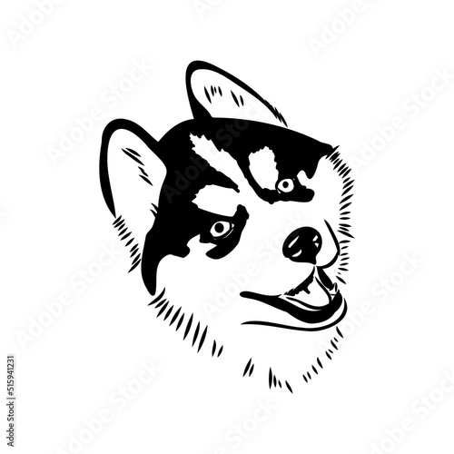 Husky isolated on white background. Stencil. Dog silhouette.