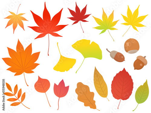 秋の紅葉やイチョウなどの落ち葉やドングリのセット素材_ベクターイラスト