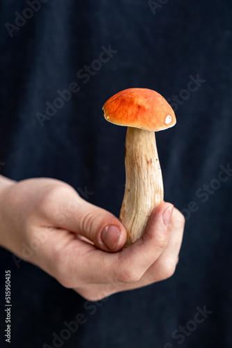 The girl holds an edible boletus mushroom in her hand. Vegetarian food. Food rich in protein and fiber.