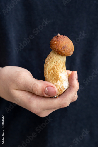 The girl holds an edible boletus mushroom in her hand. Vegetarian food. Food rich in protein and fiber.