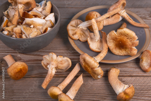 Cooking edible mushrooms. Vegetarian food. Food rich in protein and fiber.