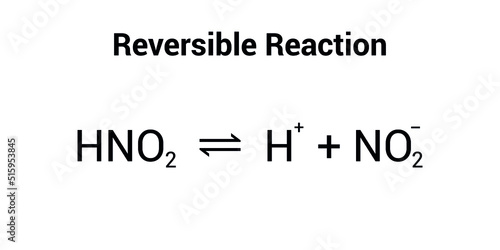 reversible reaction example in chemistry