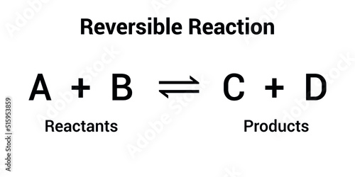 reversible reaction formula in chemistry