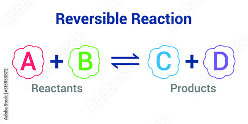 reversible reaction formula in chemistry photo