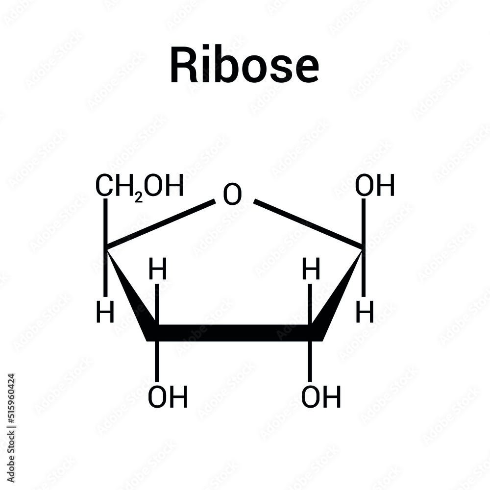 Ribose Formule D velopp e Formule Brute Du Ribose KKSURC