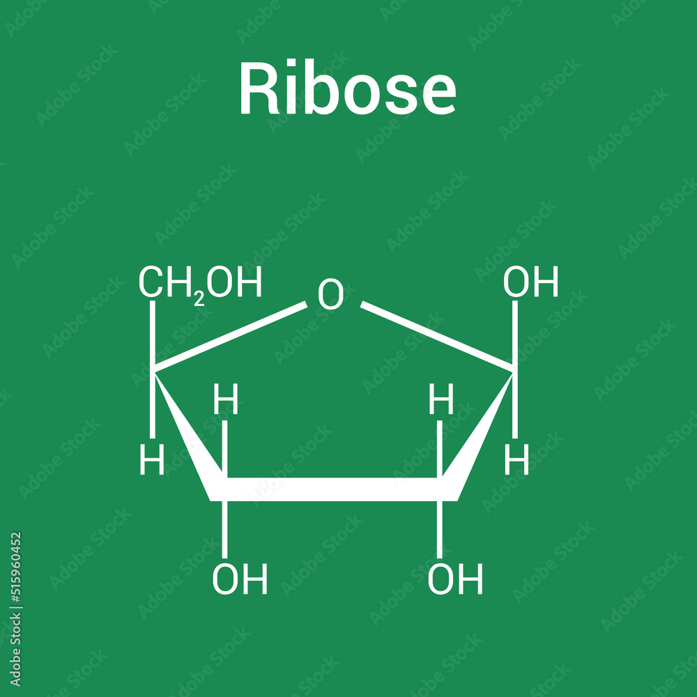 chemical structure of Ribose (C5H10O5) chemical structure of Ribose (C5H10O5)