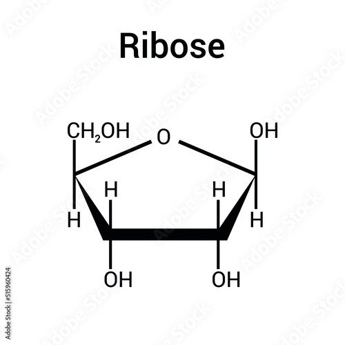 chemical structure of Ribose (C5H10O5) photo