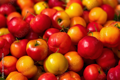 red and yellow acerola cherry