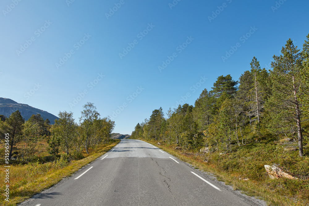 An empty road surrounded by trees with clear blue sky and copy space. Landscape with a straight countryside asphalt roadway for traveling along a beautiful scenic forest in Norway