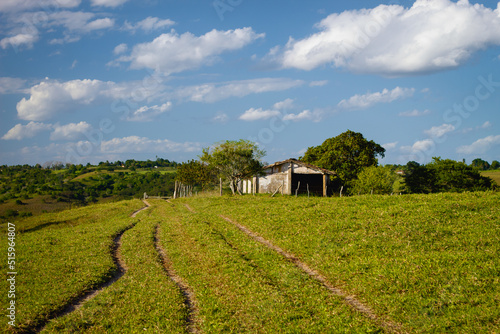 landscape and hut