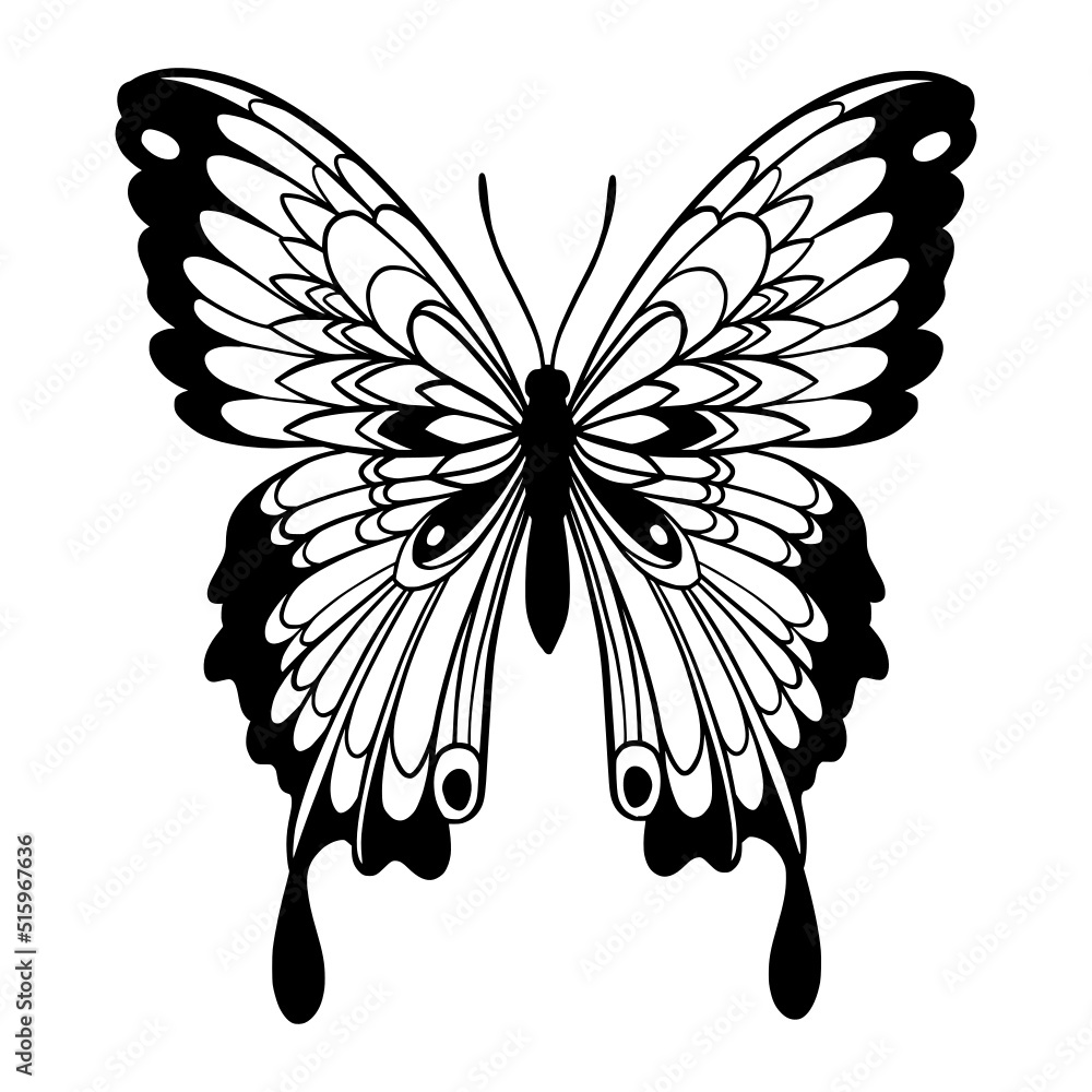 Butterfly Doodle, Butterfly Zentangle Stock Vector 