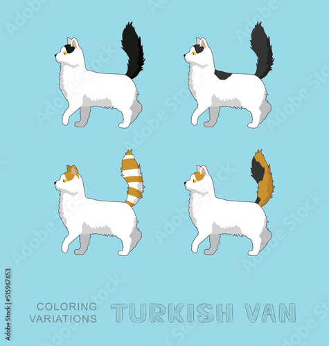 Cuadro en lienzo Cat Turkish Van Coloring Variations Vector Illustration