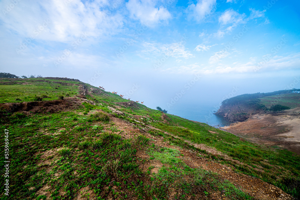 This is an island called Gulupdo, which belongs to Incheon, Korea. It is called the Galapagos of Korea, and many backpackers visit it and enjoy camping.