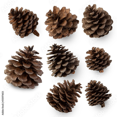 Pine cones isolated on white background with clipping path.