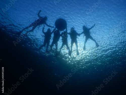 Wallpaper Mural シュノーケリング Torontodigital.ca