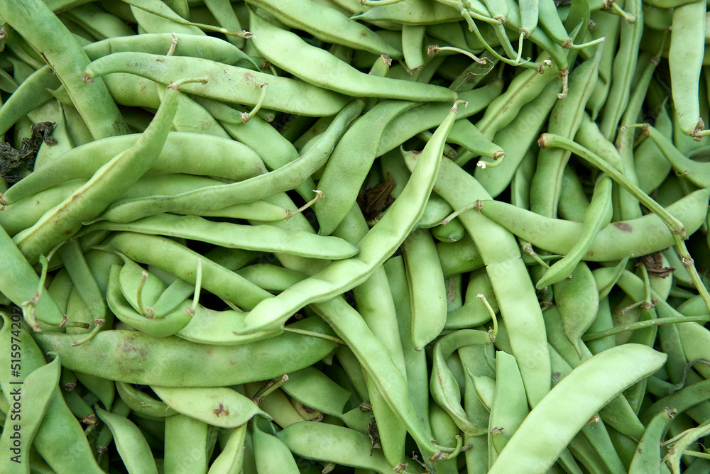 Green peas in the pod. High quality photo Green peas in the pod. High quality photo