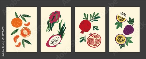 Abstract fruit poster. Modern food art, vintage hand drawn print of summer or autumn harvest with minimalist tropical plant. Mandarin exotic dragonfruit and pomegranate vector cartoon background