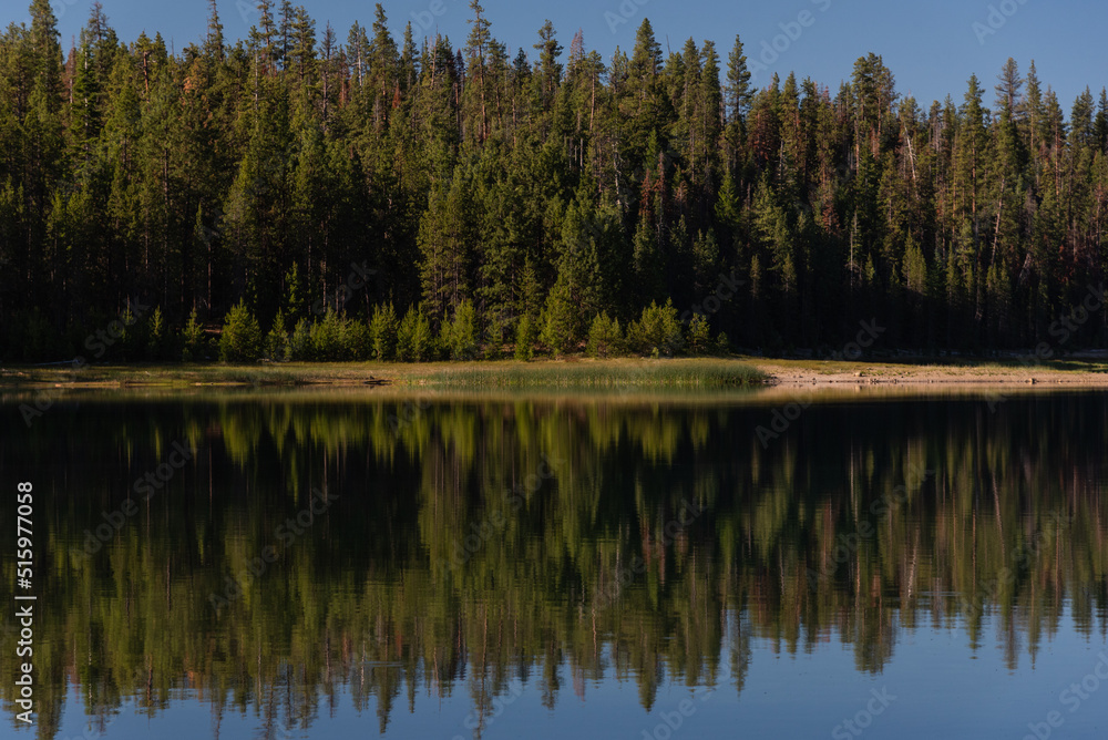 reflection of forest trees on lake in Oregon wilderness