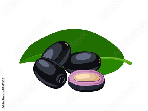 Vector illustration, Jambolan plum or Javanese plum, scientific name Syzygium cumini, isolated on a white background, exotic fruit as a medicinal herb. photo