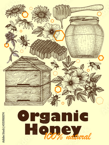 Vector banner template in engraving style. Graphic linear bees, chamomile and clover flowers, wild rose with berries, honey jar, honey dipper, honeycomb, beehive