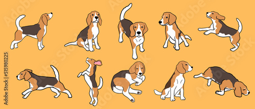 set of beagle dog in different poses. Small hunting dog with brown-white coat and long ears. Puppy with cute muzzle on yellow background