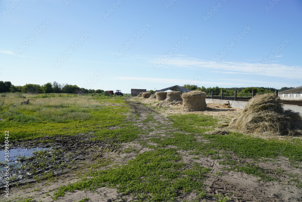 Fototapeta premium Country landscape with straw stack along the farm territory