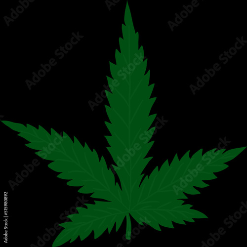 Cannabis or marijuana leaf painting on black background. 