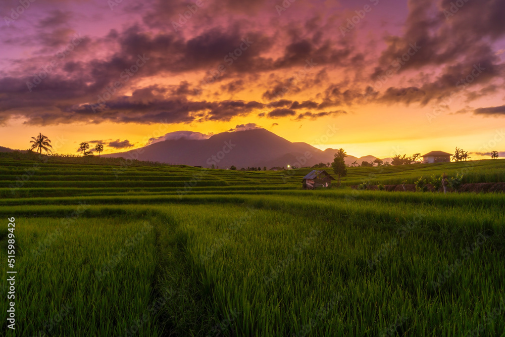 panoramic indonesia view of rice terraces and mountains in the morning