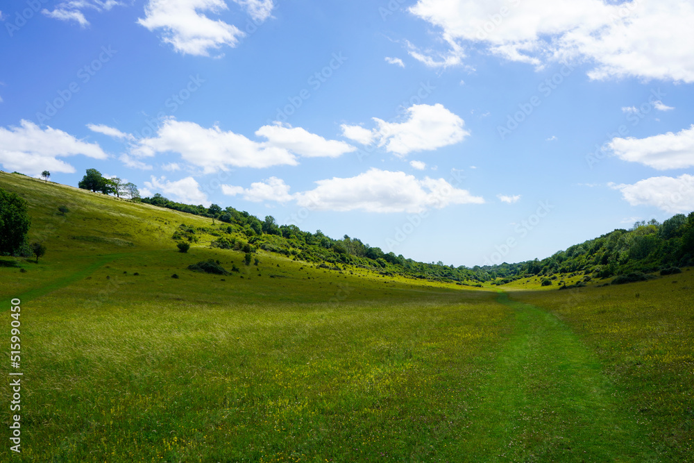 Wide countryside view of green grass and hills Wide countryside view of green grass and hills