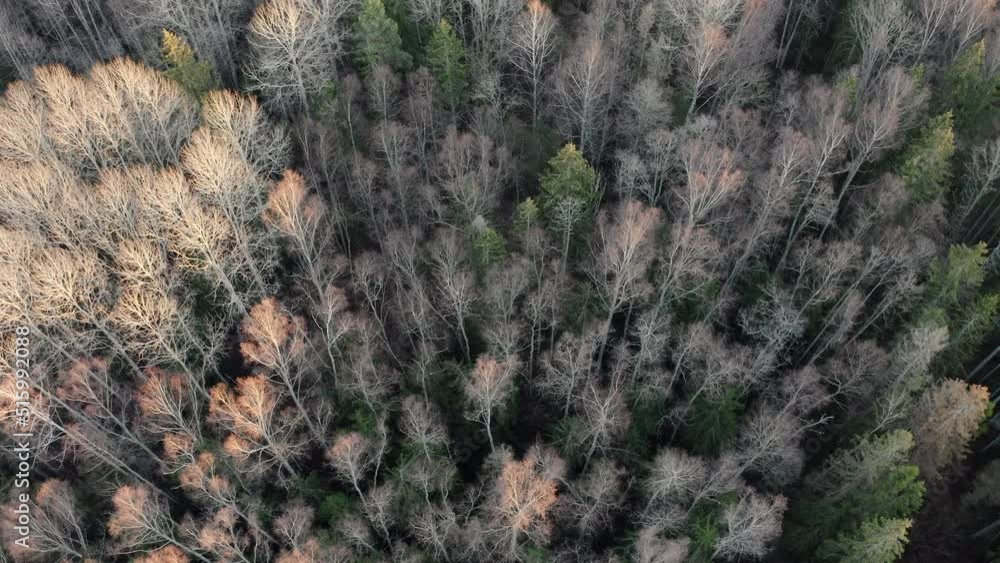 Aerial shot of spring forest landscape. Trees without leaves. Aerial shot of spring forest landscape. Trees without leaves.