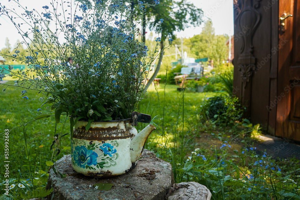 Vintage teapot with forget-me-nots flowers on the stump in countryside