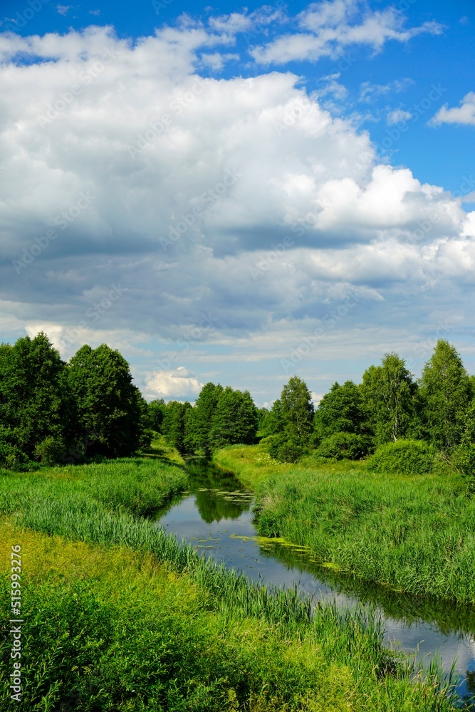 Mid summer. Midday on the banks of a small forest river. Blue sky, white clouds