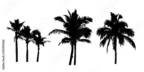 group of realistic Coconut palm trees black silhouette. isolated on white background.