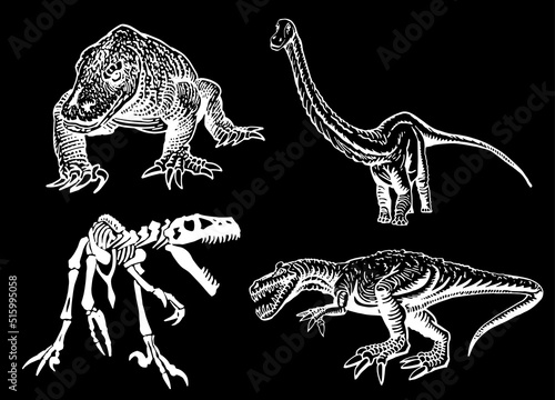 Vector set of dinosaurs and varans , graphical elements isolated on black © Vita