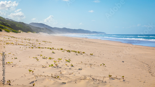 Cape Vidal beach, St Lucia Park,iSimangaliso Wetland Park, Kwazulu-Natal, South Africa. photo