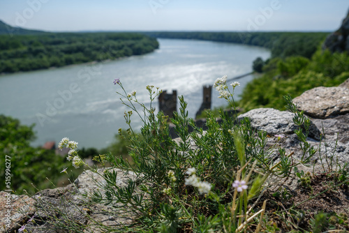 Photography Devin Castle