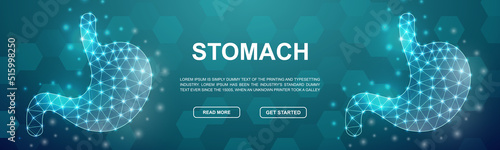 Stomach polygonal symbol for promotion banner. Horizontal low poly poster illustration. Digestive system, Organ design template illustration concept.